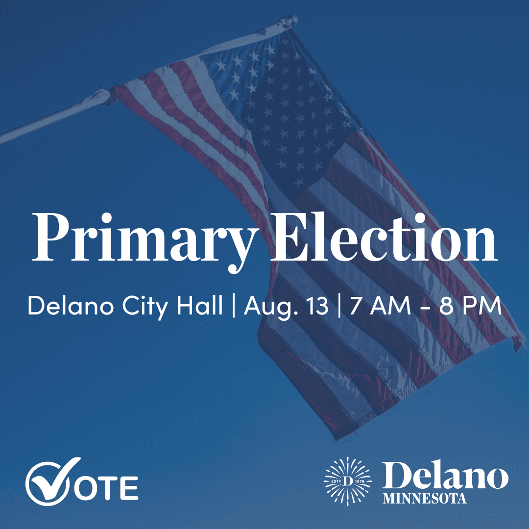 Primary Election Sat., Aug 10 Voting Infographic