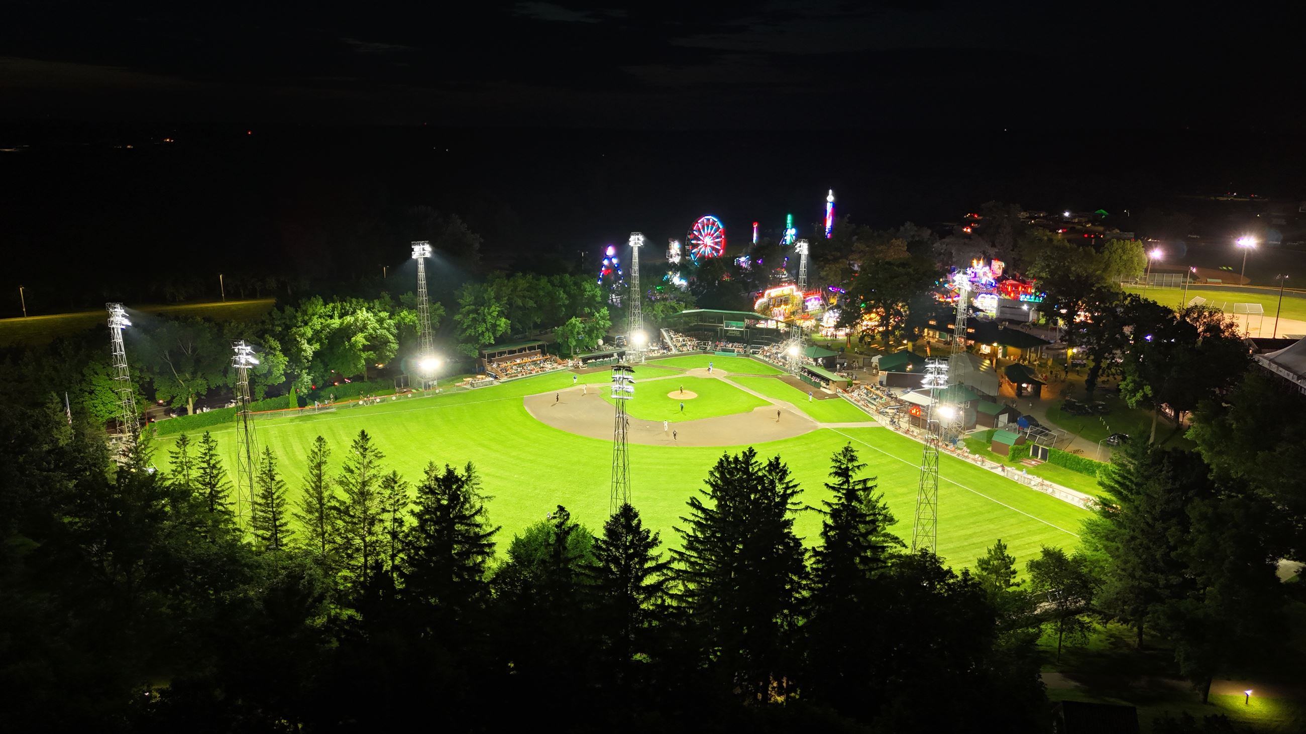 Muni Nights and Festival Lights - Casey O Connor